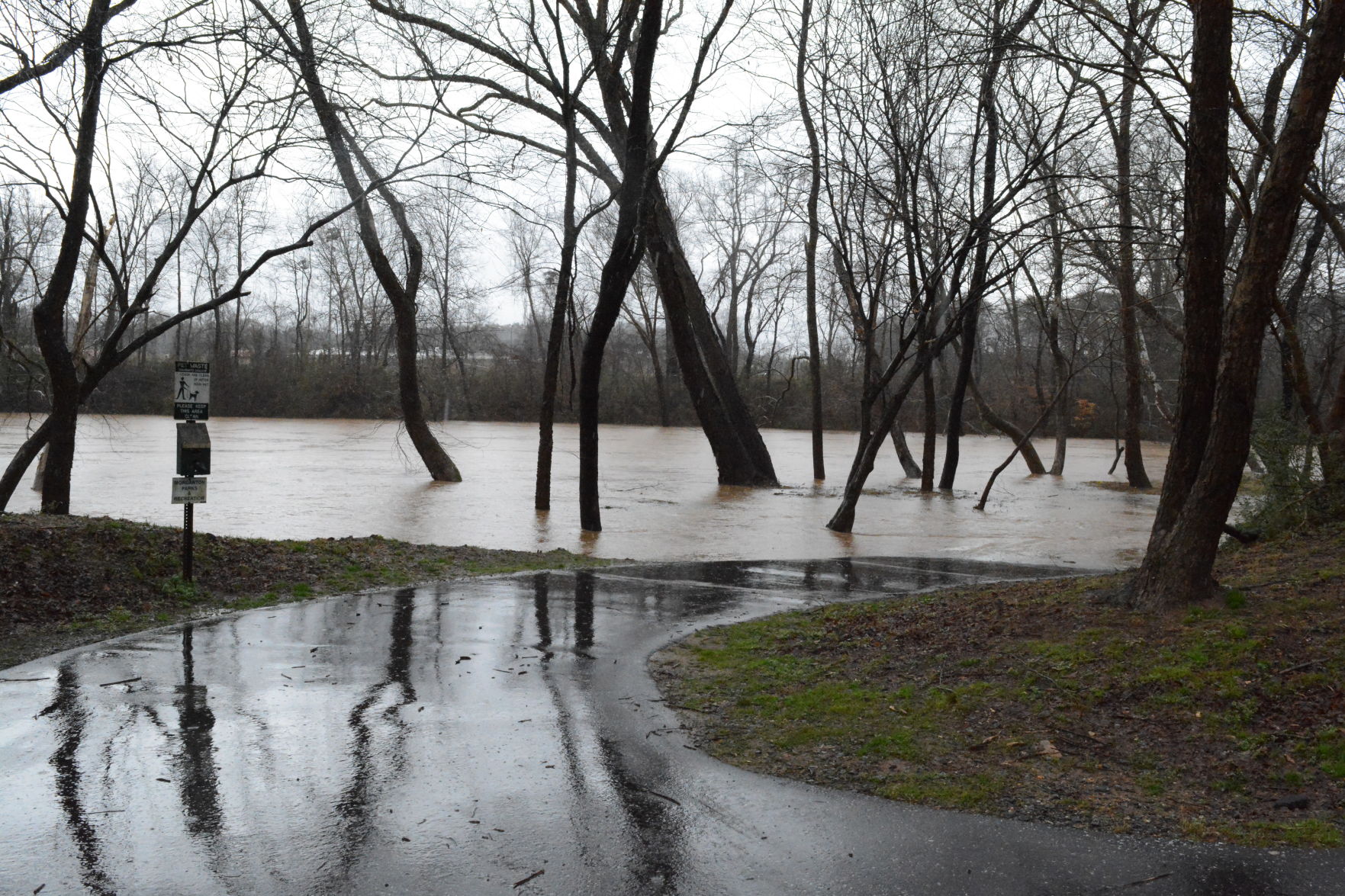 0206 CM flash flooding (3).JPG
